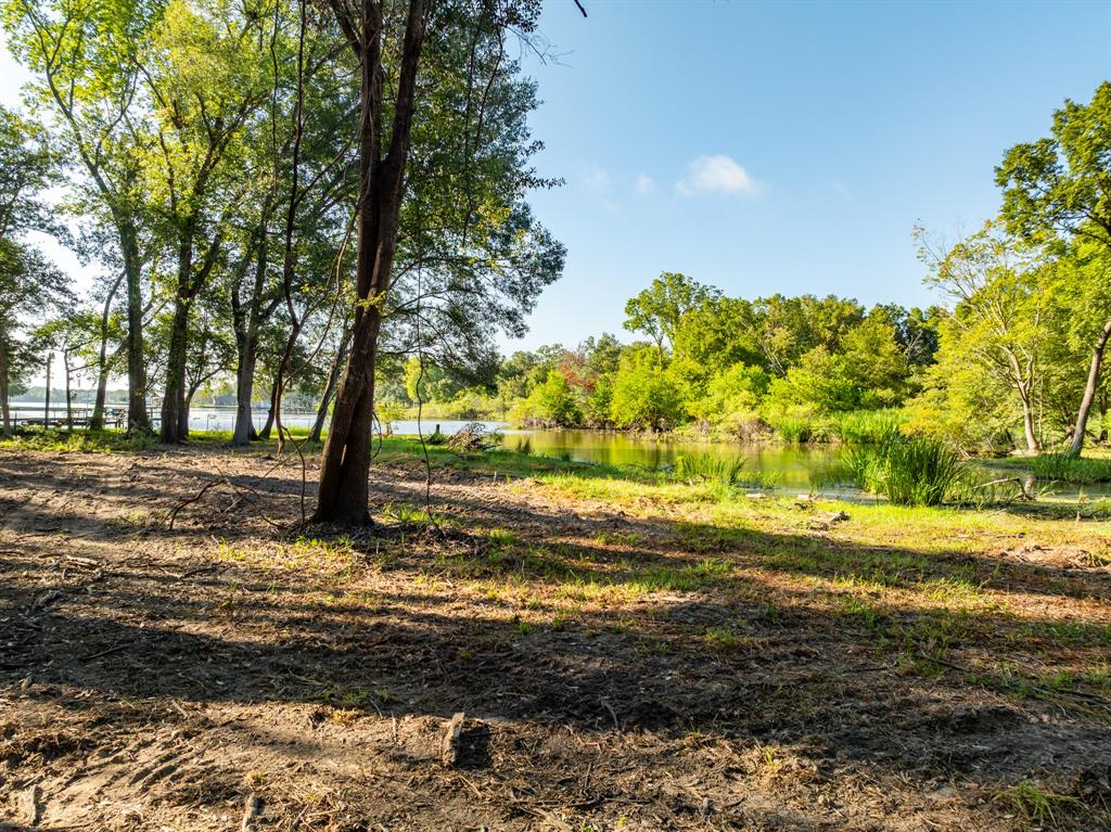 TBD County Road 750, Thornton, Texas image 33