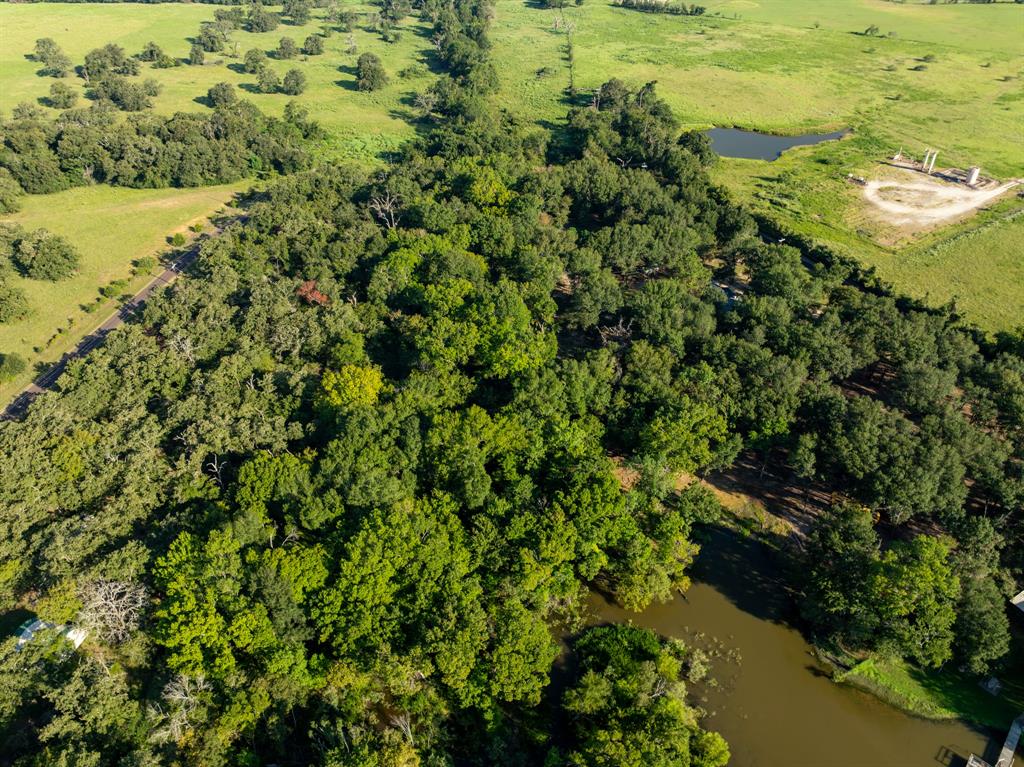 TBD County Road 750, Thornton, Texas image 6