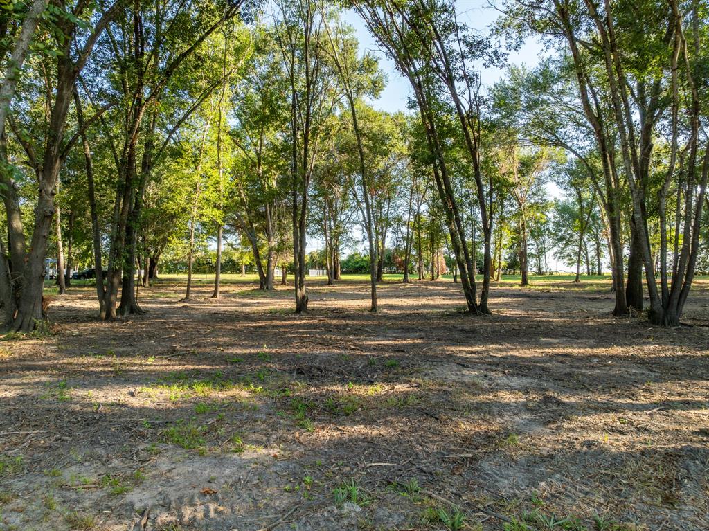 TBD County Road 750, Thornton, Texas image 32