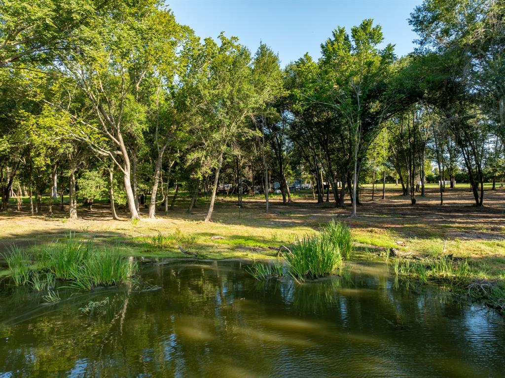 TBD County Road 750, Thornton, Texas image 21