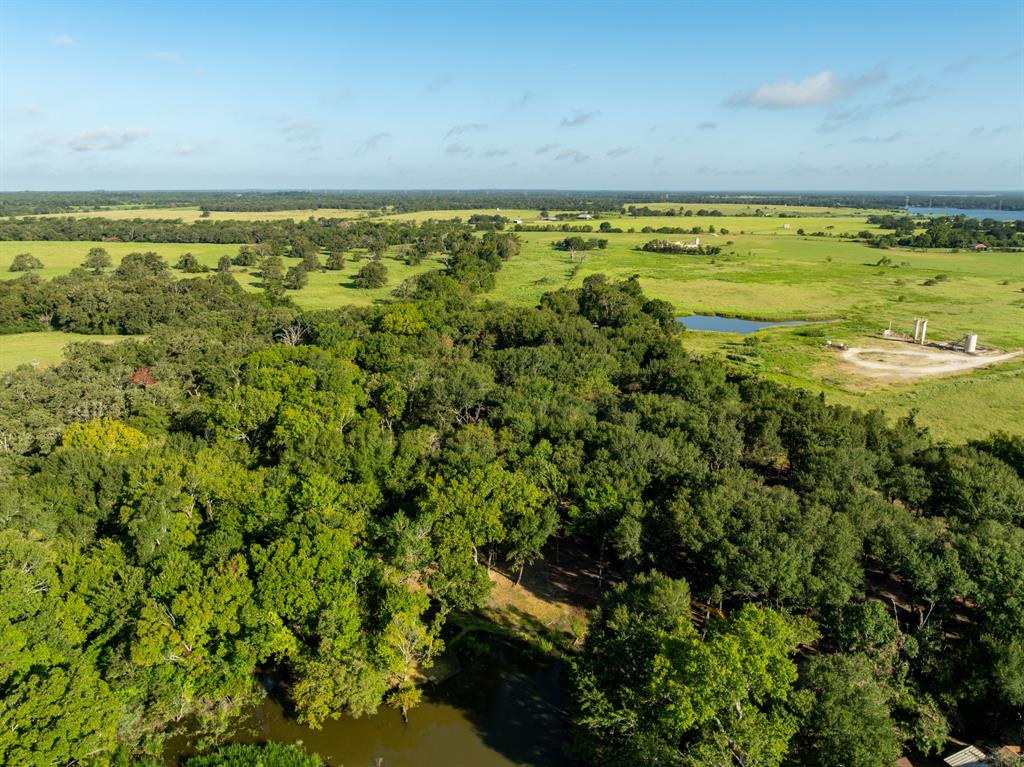 TBD County Road 750, Thornton, Texas image 18