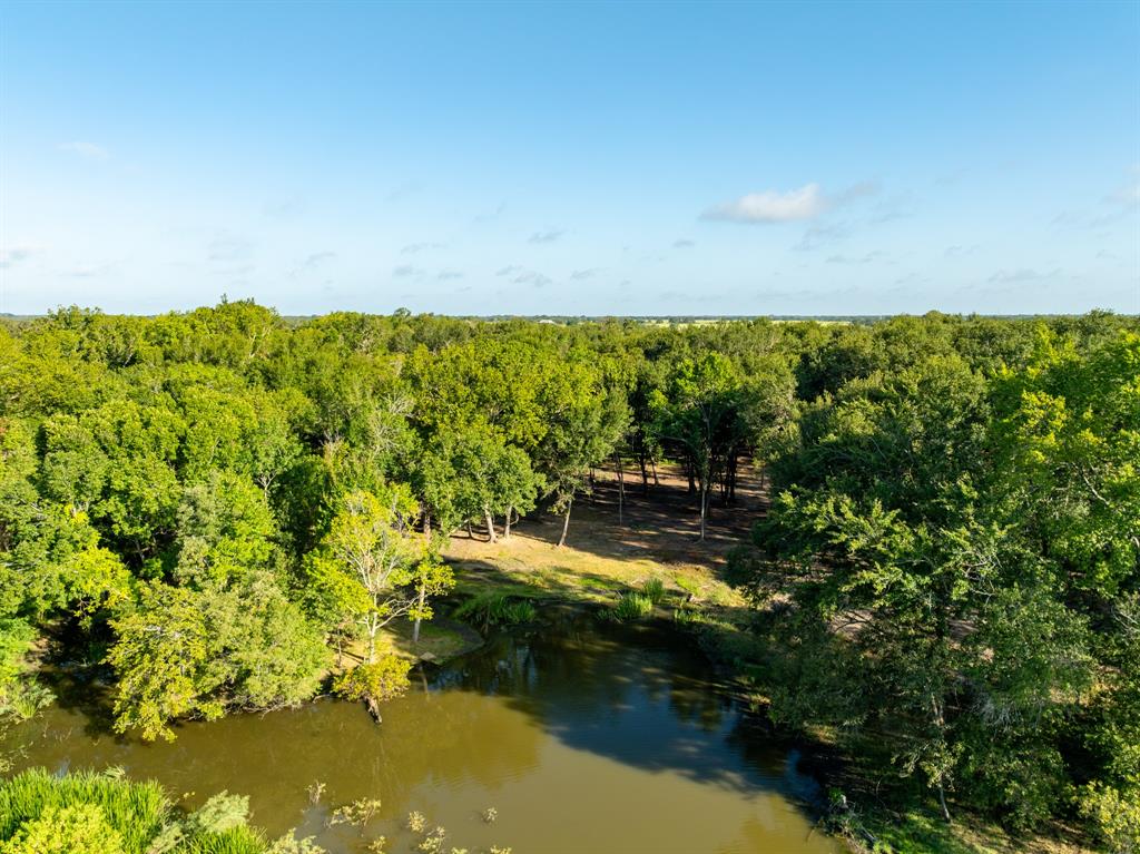 TBD County Road 750, Thornton, Texas image 19