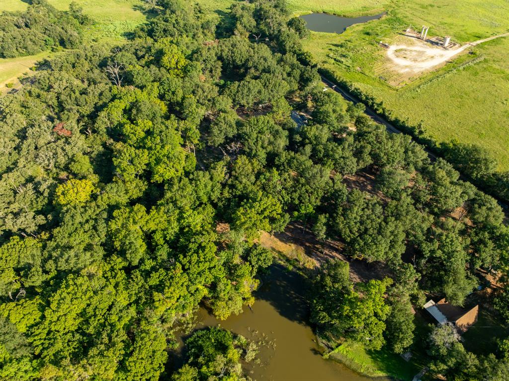 TBD County Road 750, Thornton, Texas image 17