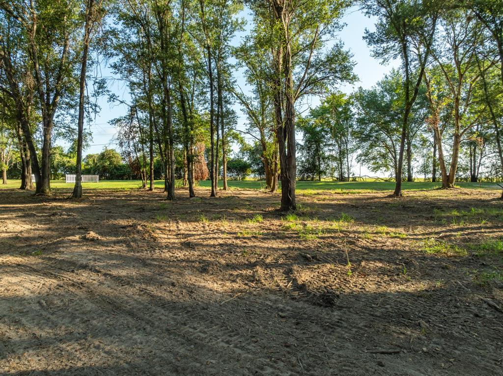 TBD County Road 750, Thornton, Texas image 36