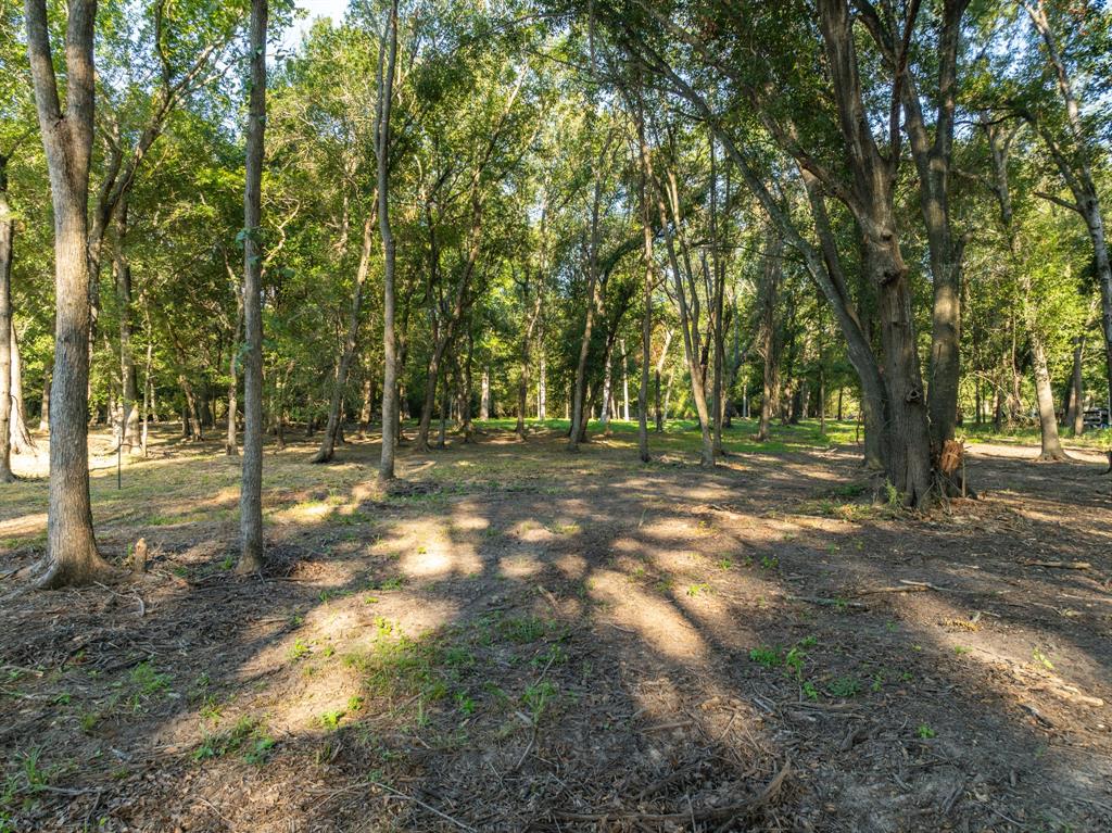 TBD County Road 750, Thornton, Texas image 35