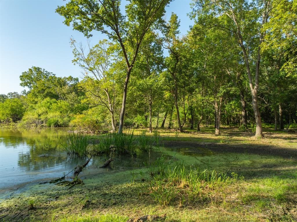 TBD County Road 750, Thornton, Texas image 47