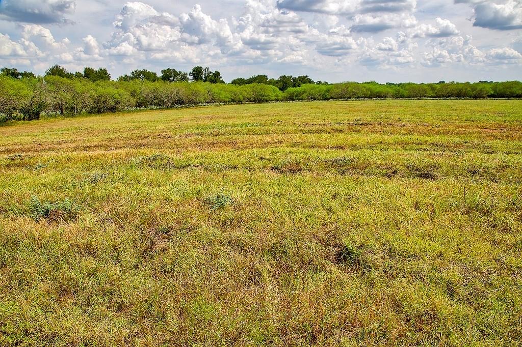 4750 Highway 290, Brenham, Texas image 3