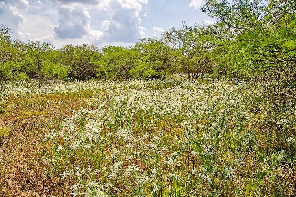 4750 Highway 290, Brenham, Texas image 4