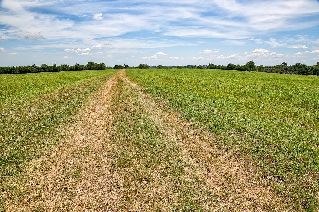 4750 Highway 290, Brenham, Texas image 7