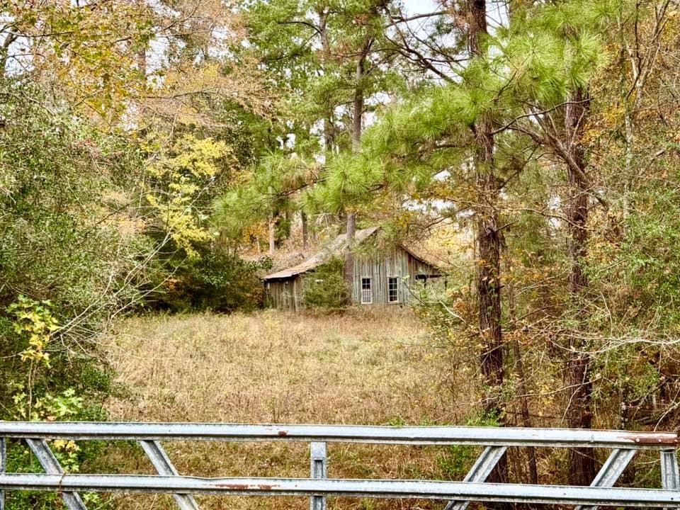 TBD Midway Loop, Livingston, Texas image 1