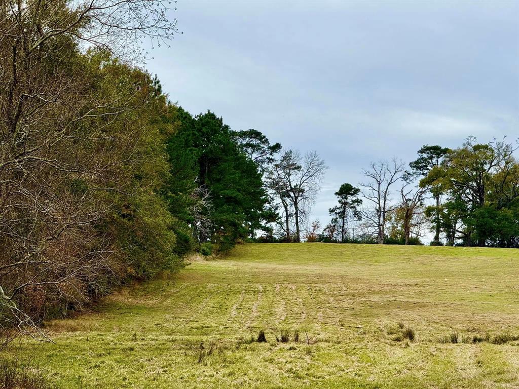 TBD Midway Loop, Livingston, Texas image 7