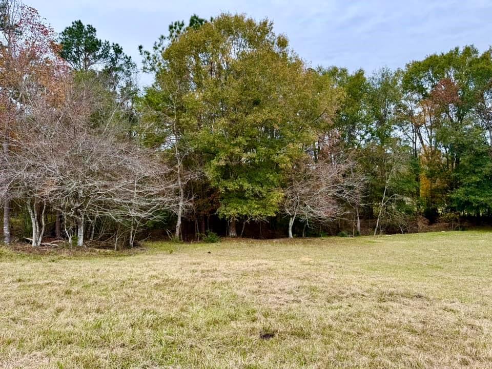 TBD Midway Loop, Livingston, Texas image 9