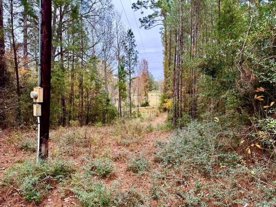 TBD Midway Loop, Livingston, Texas image 17