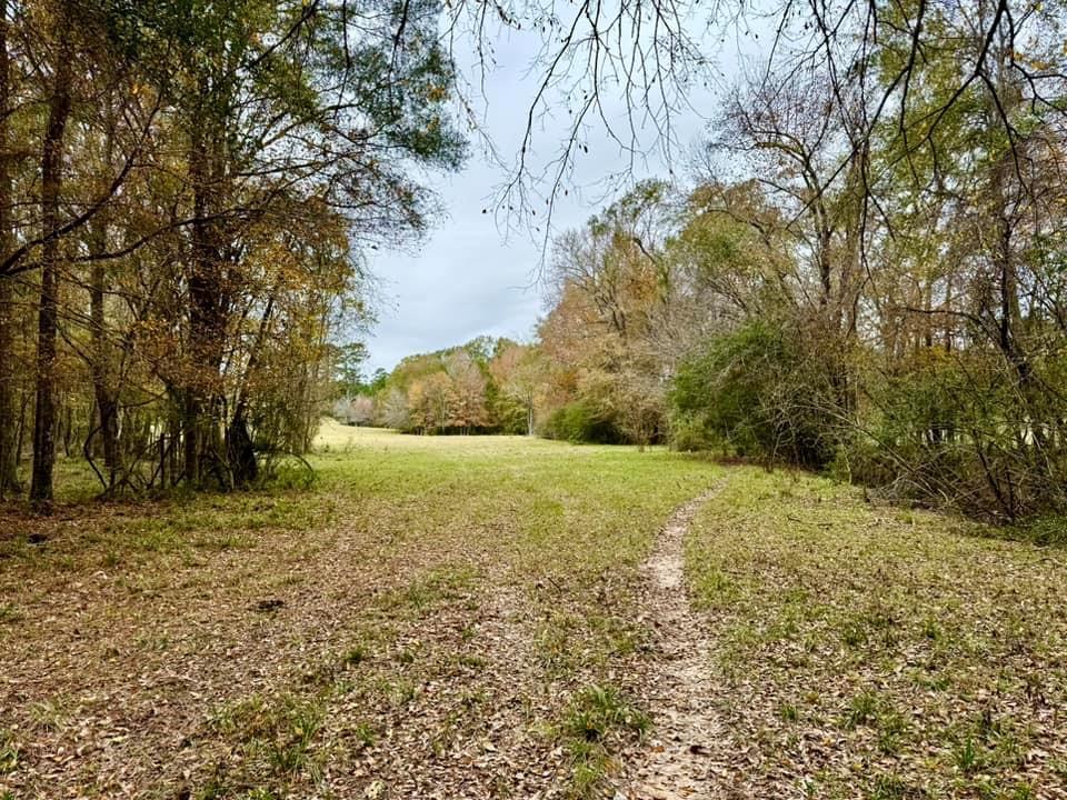 TBD Midway Loop, Livingston, Texas image 3