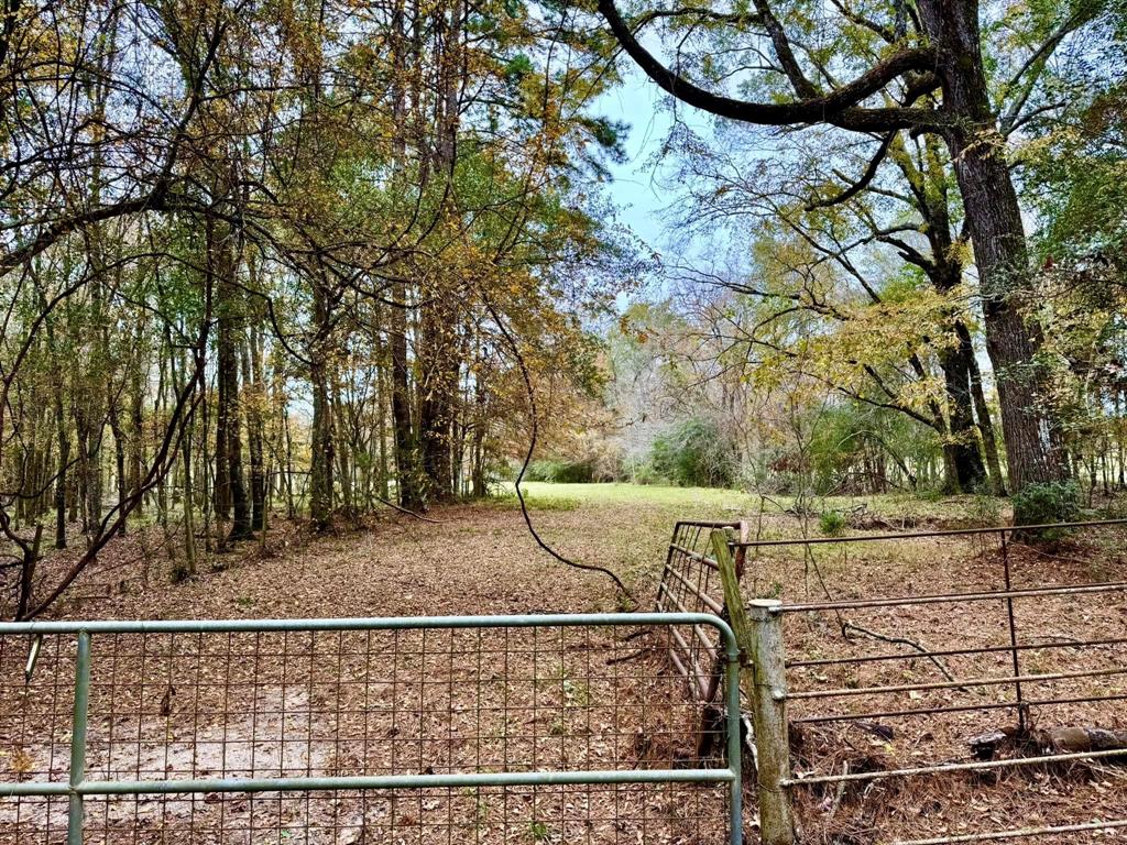 TBD Midway Loop, Livingston, Texas image 2