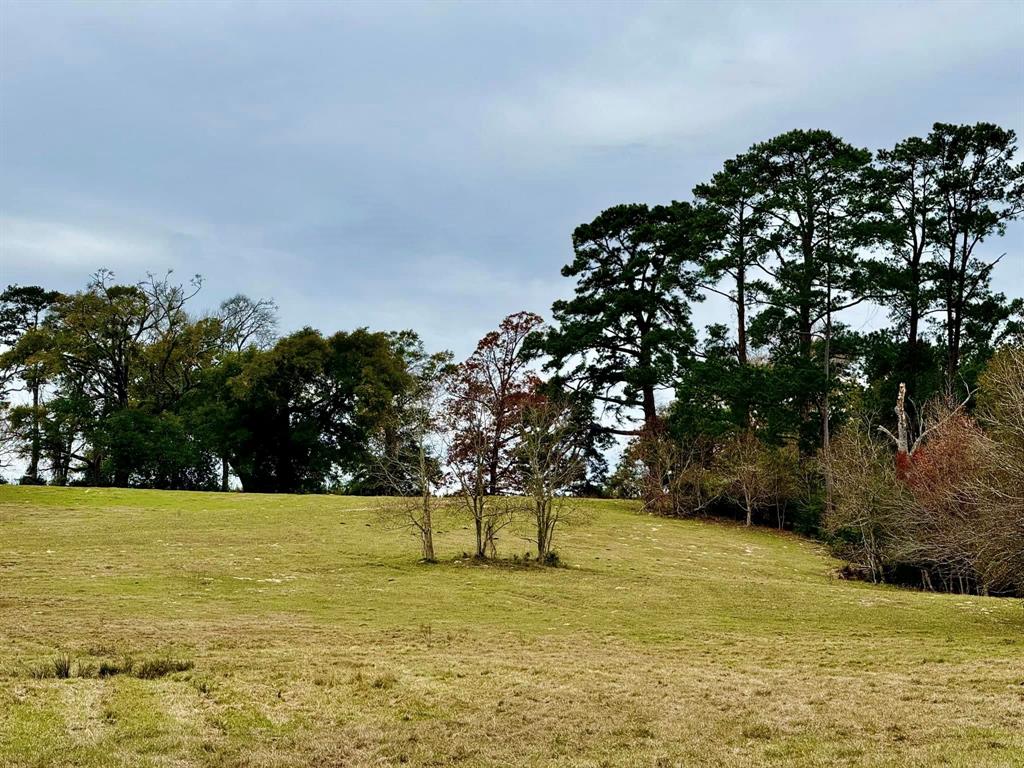 TBD Midway Loop, Livingston, Texas image 8