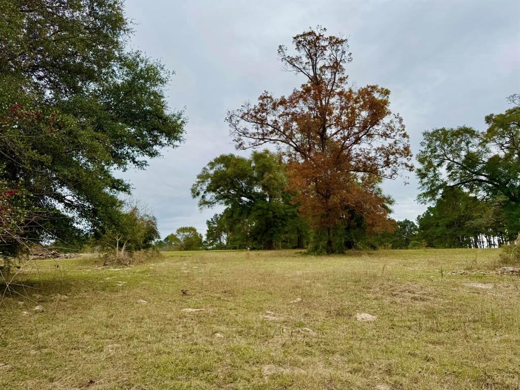 TBD Midway Loop, Livingston, Texas image 13