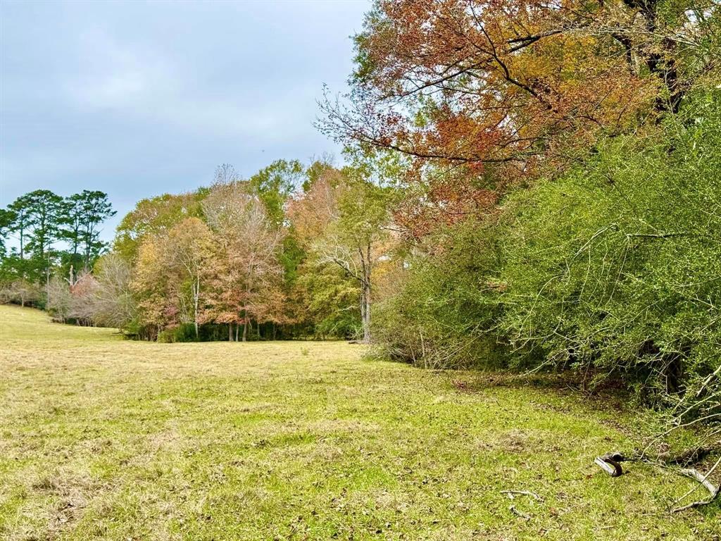 TBD Midway Loop, Livingston, Texas image 6