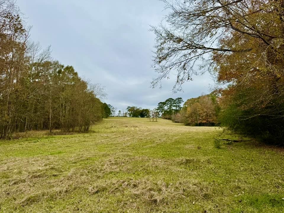 TBD Midway Loop, Livingston, Texas image 4