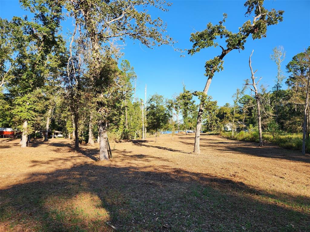 Hillje, El Campo, Texas image 2