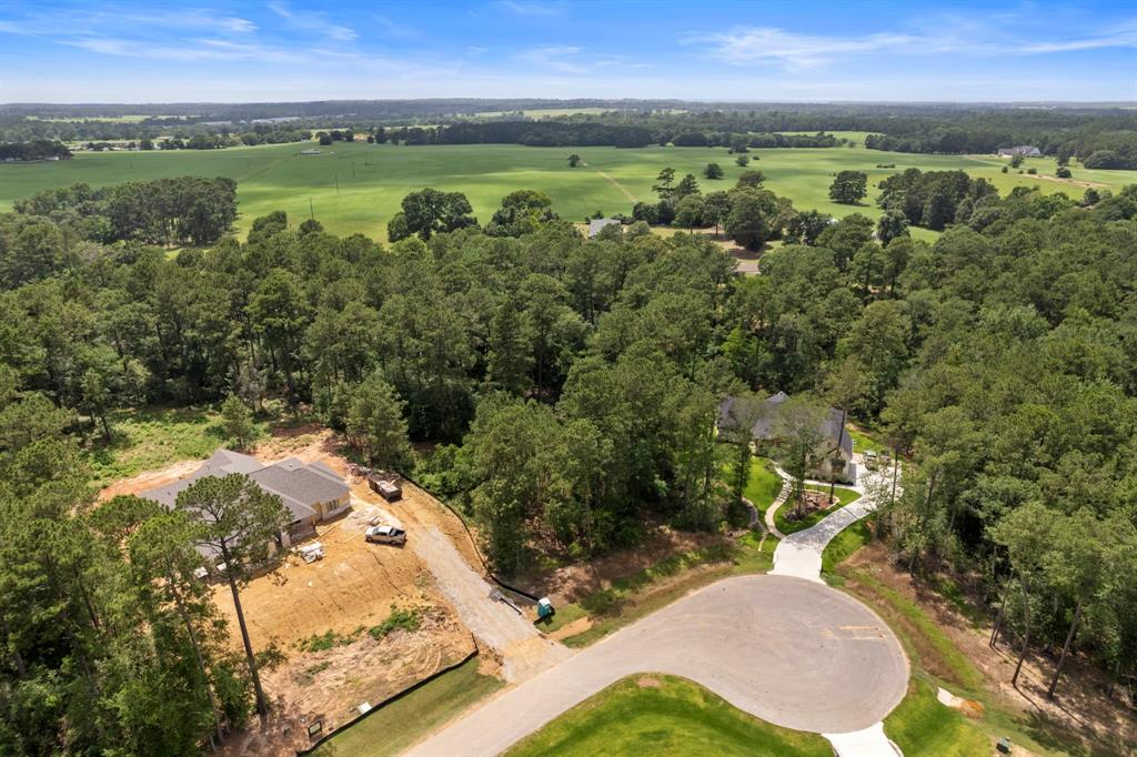 8618 Cedar Meadow Lane, Plantersville, Texas image 4