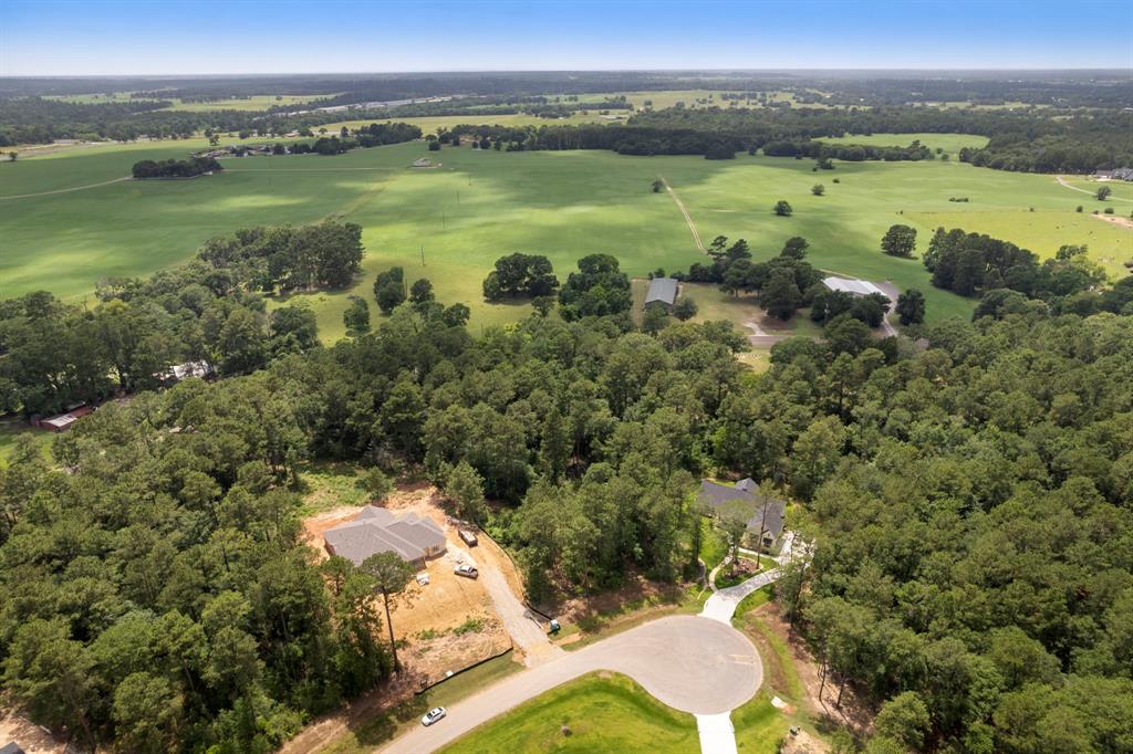 8618 Cedar Meadow Lane, Plantersville, Texas image 16