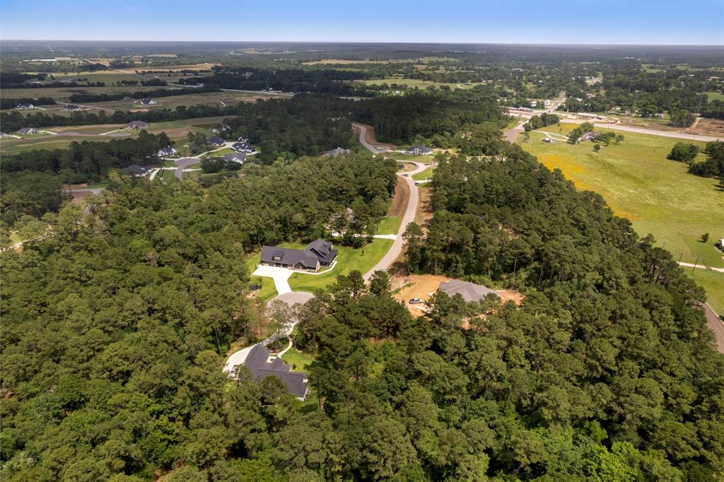 8618 Cedar Meadow Lane, Plantersville, Texas image 12