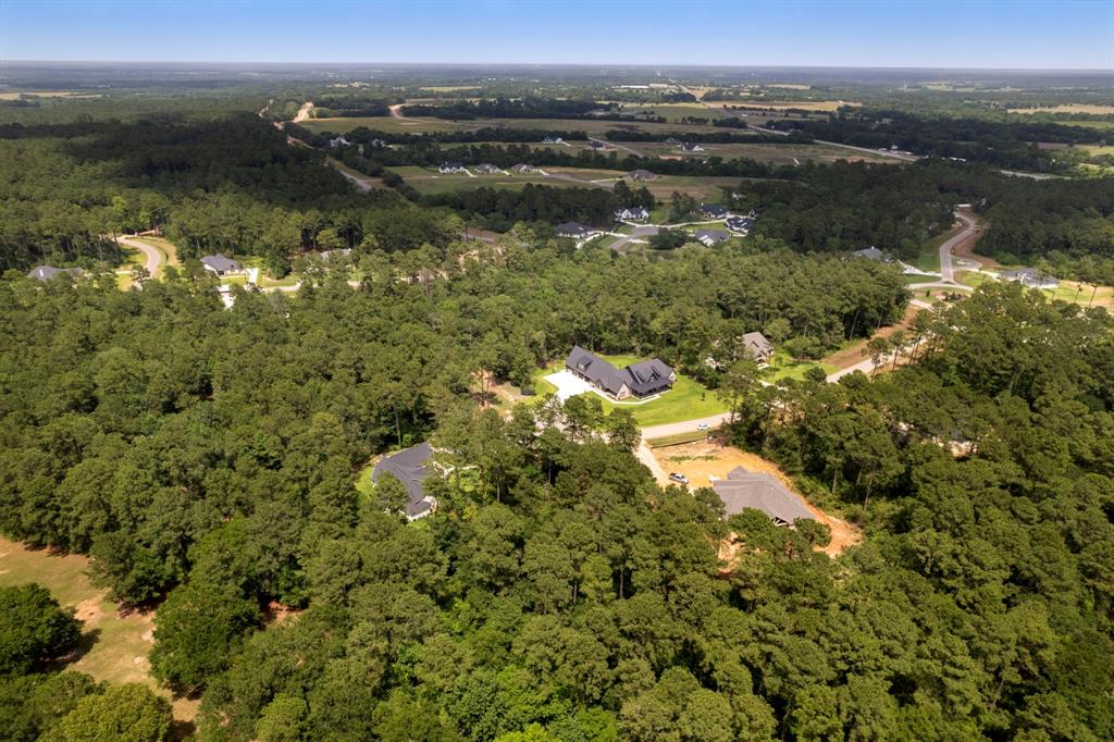 8618 Cedar Meadow Lane, Plantersville, Texas image 10