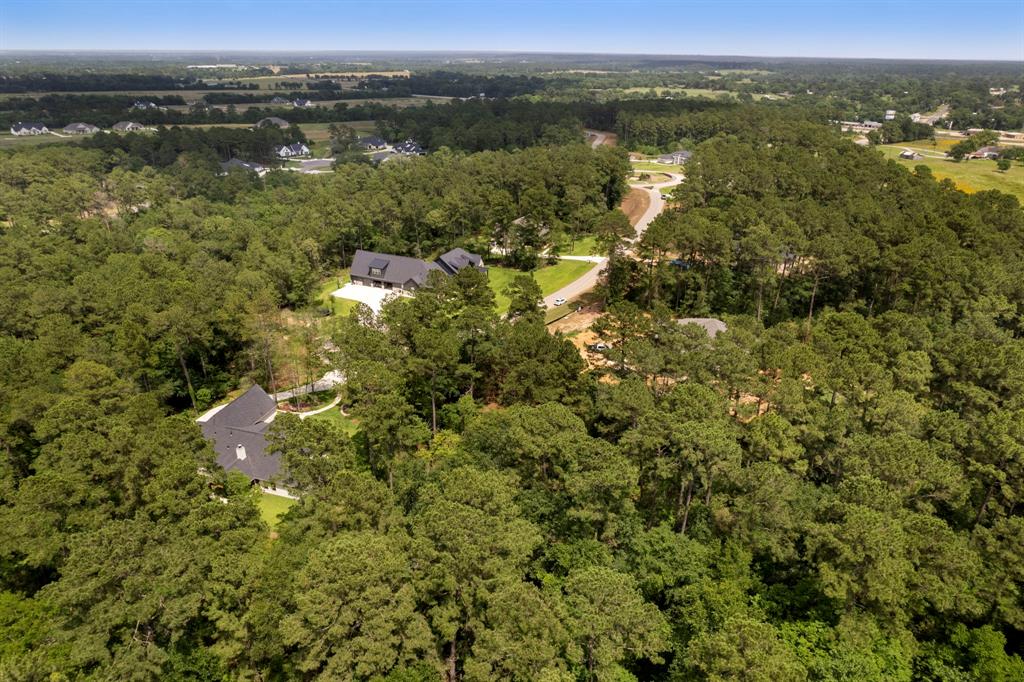 8618 Cedar Meadow Lane, Plantersville, Texas image 6