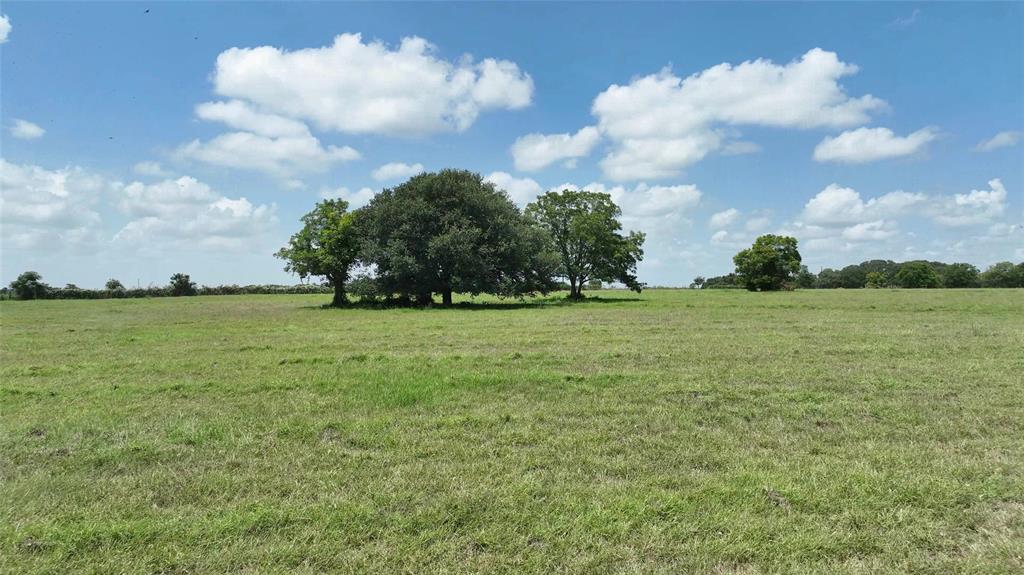 193 Cr 261, Moulton, Texas image 40