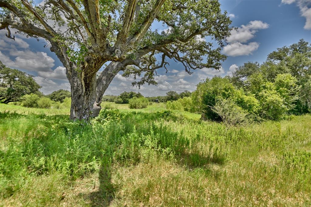 193 Cr 261, Moulton, Texas image 33