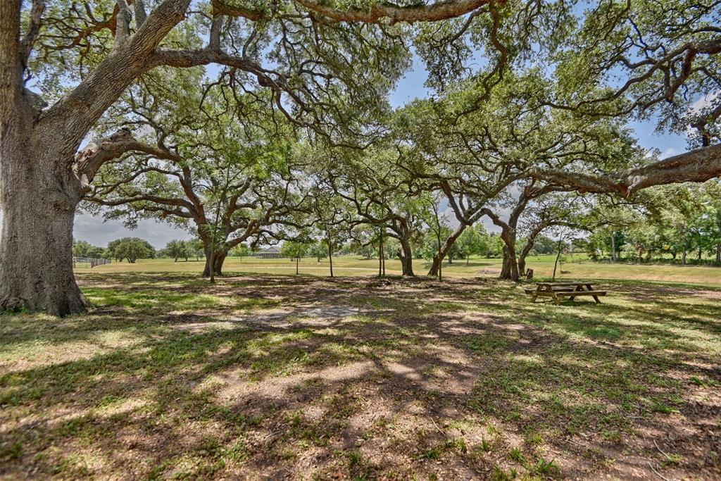 193 Cr 261, Moulton, Texas image 35