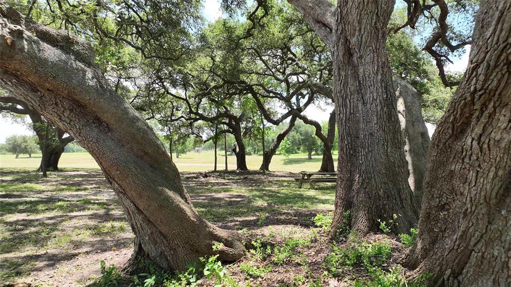 193 Cr 261, Moulton, Texas image 42