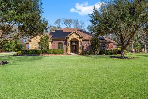 Single Family Residence in Houston TX 419 Lassen Villa Court.jpg