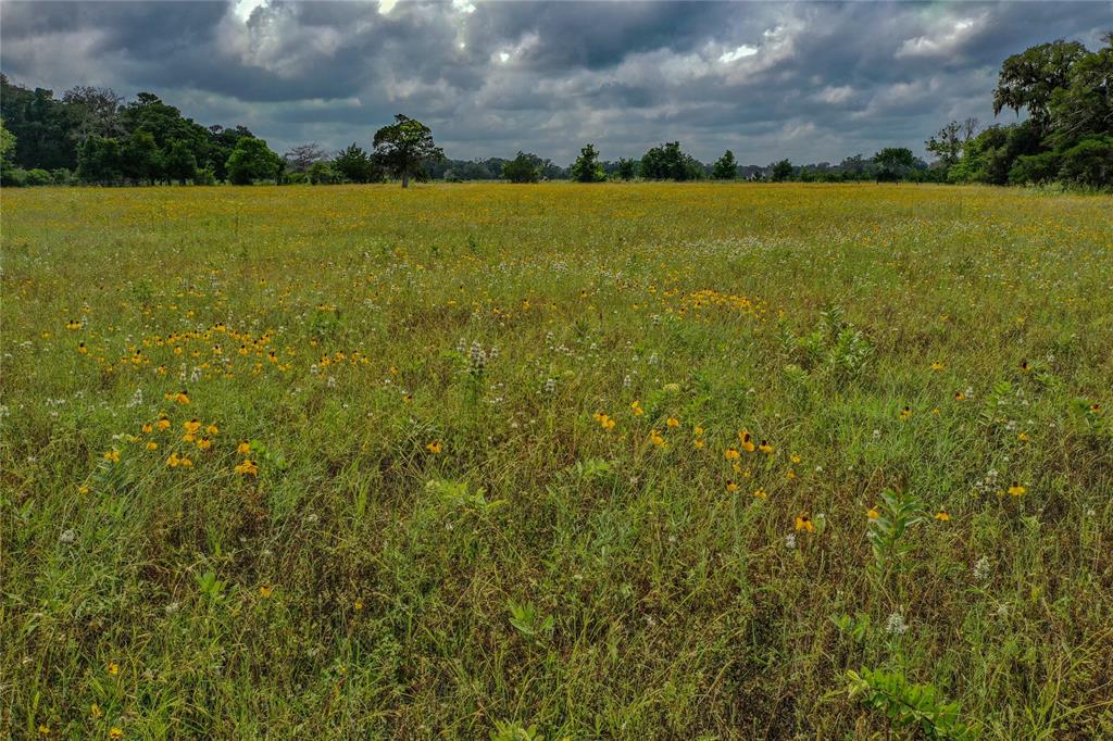 County Road 164 Weathers Road, Cedar Lane, Texas image 18