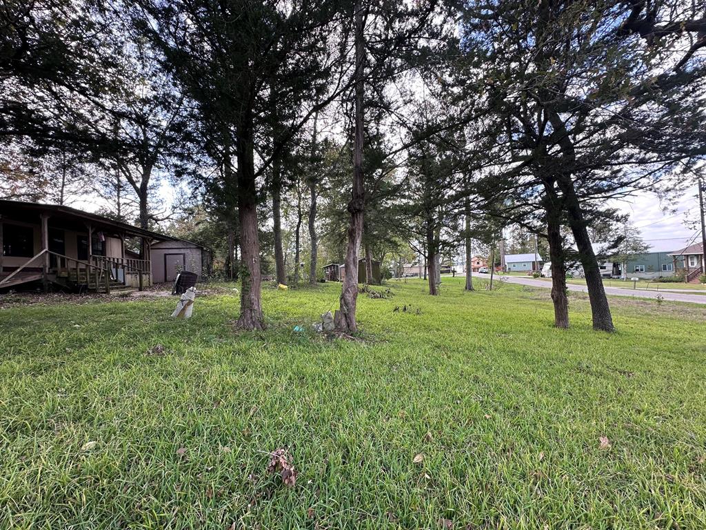 149 Egrett Street, Livingston, Texas image 5