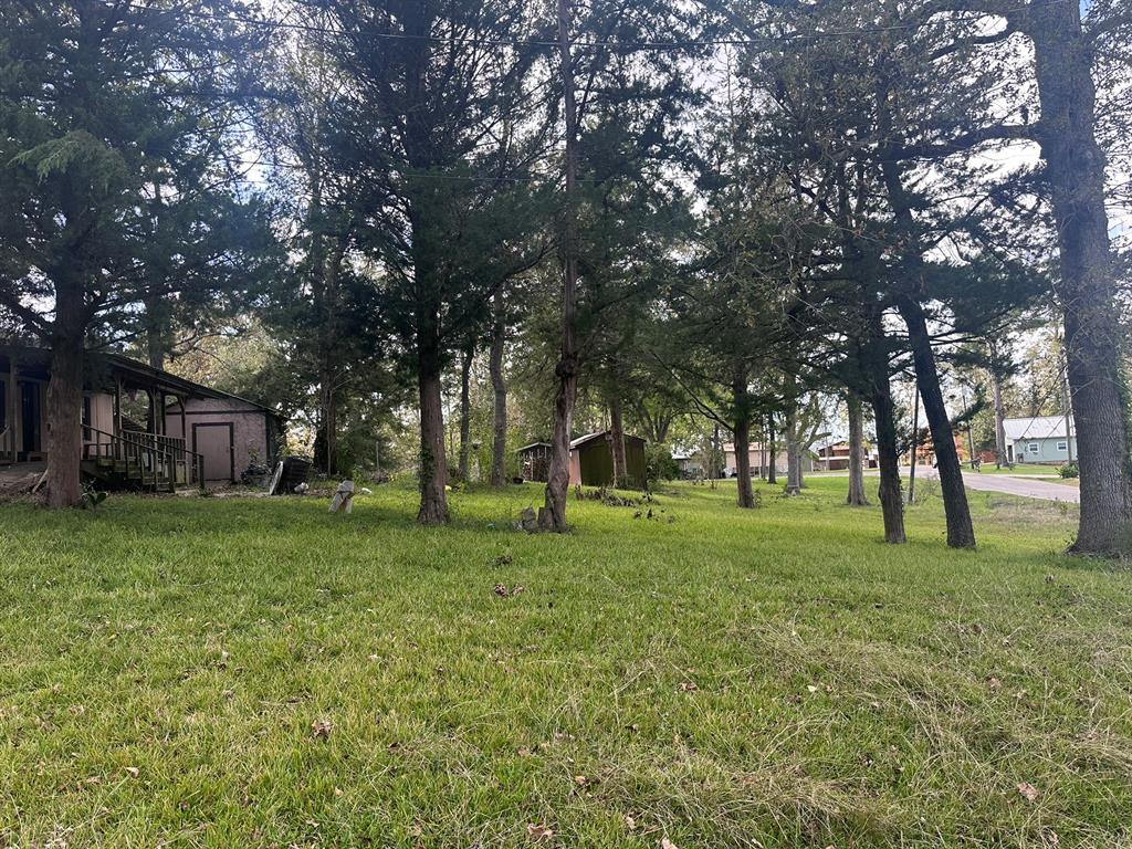 149 Egrett Street, Livingston, Texas image 6