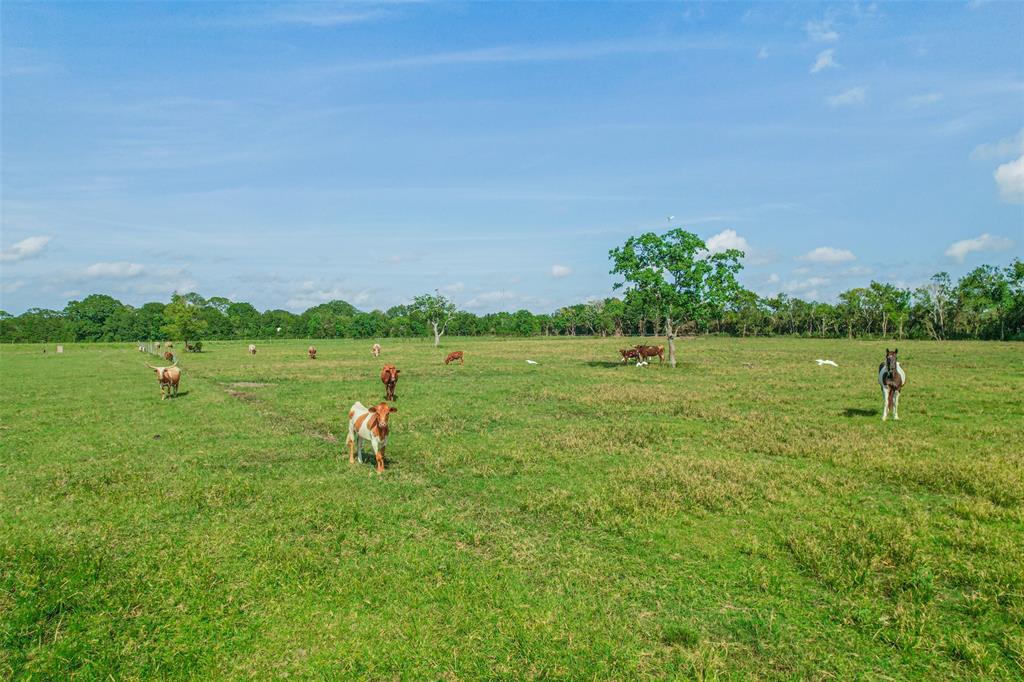 1951 Rymal Road, Alvin, Texas image 3