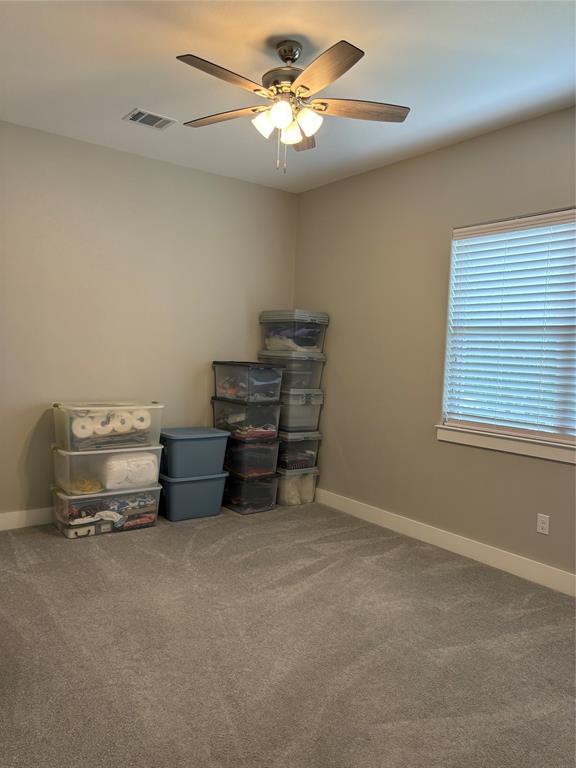 170 Nuuanu Lane, Bastrop, Texas image 29