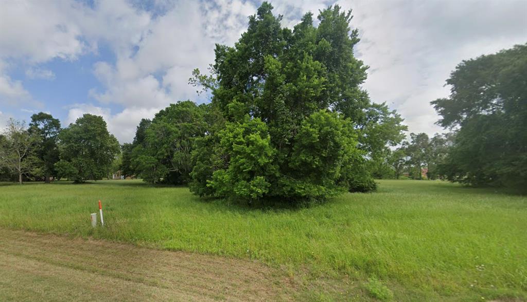 621 Pony Trail, Angleton, Texas image 4