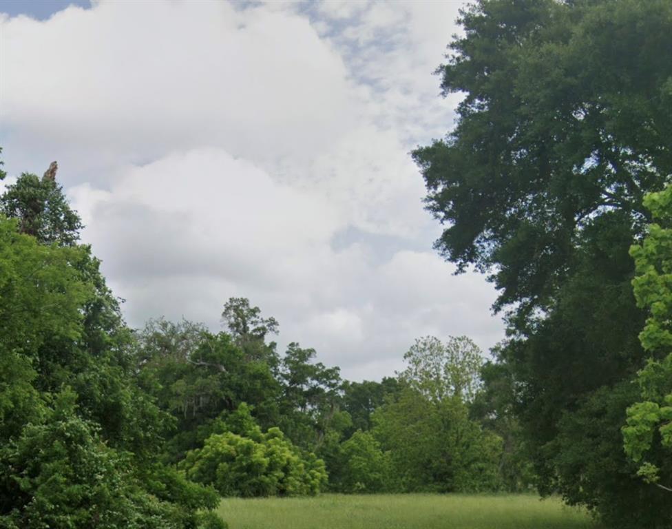 621 Pony Trail, Angleton, Texas image 3
