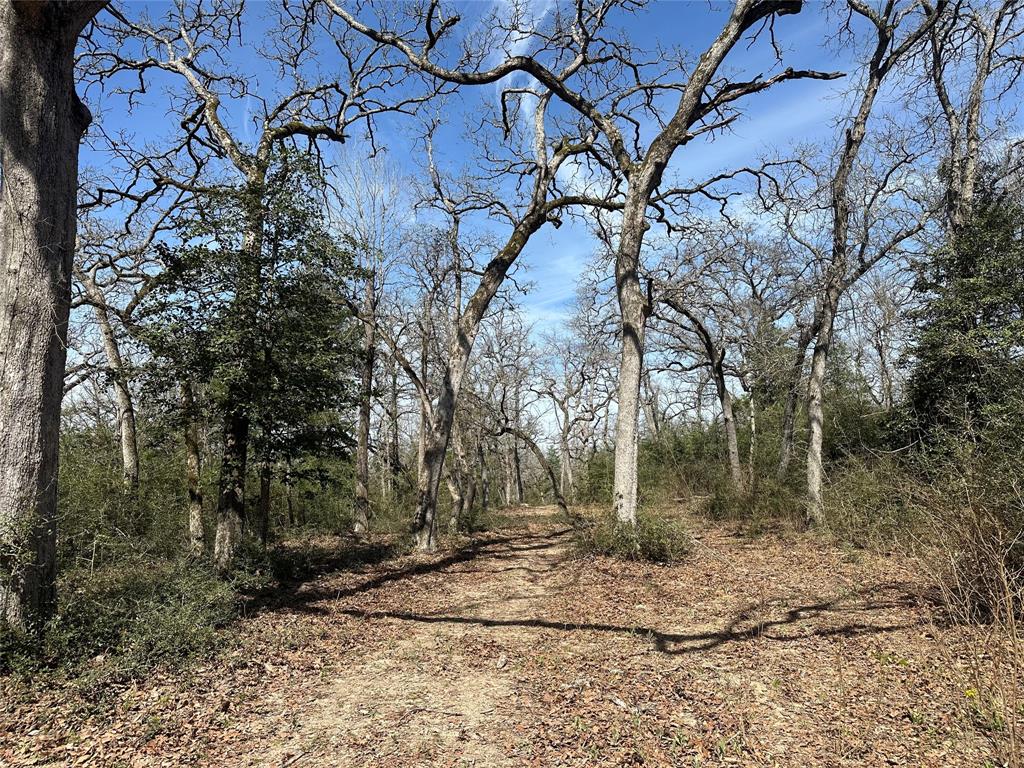 12200 County Road 257, Buffalo, Texas image 25