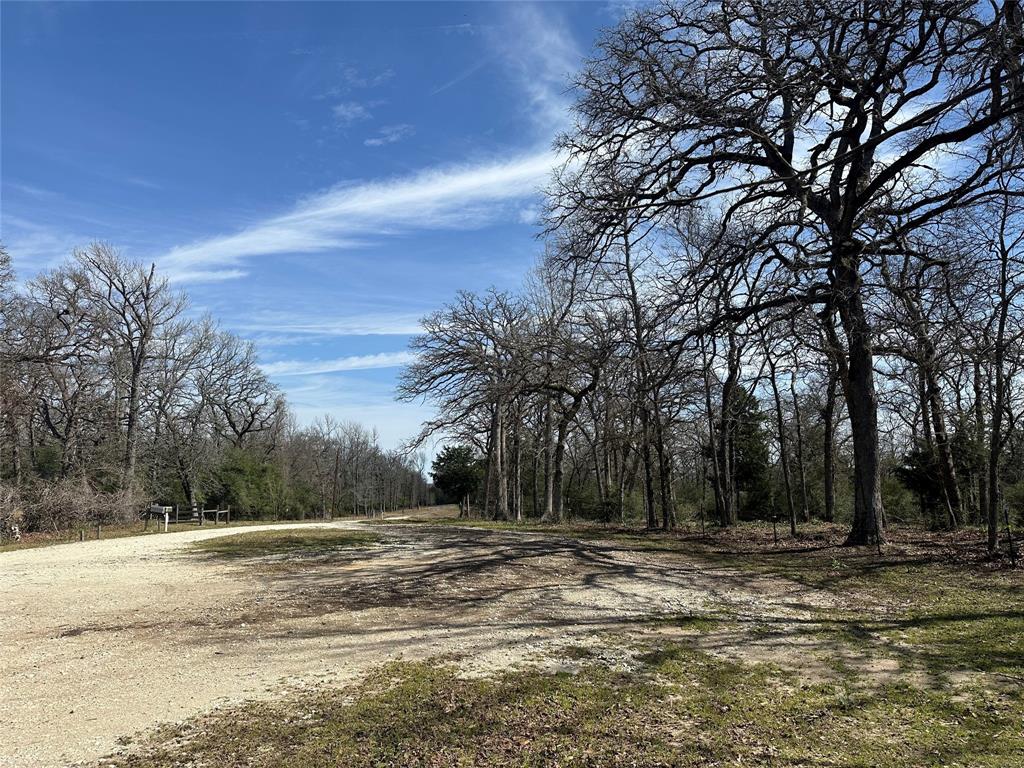 12200 County Road 257, Buffalo, Texas image 37