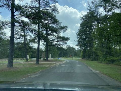 Photo of 195 Tarnwood Drive, Brookeland, TX 75931 (MLS # 37485761)