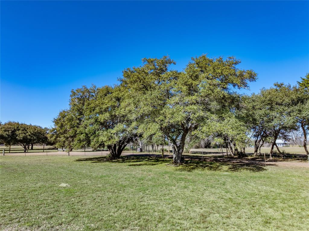 450 Woods Prairie Cemetery Lane, West Point, Texas image 47