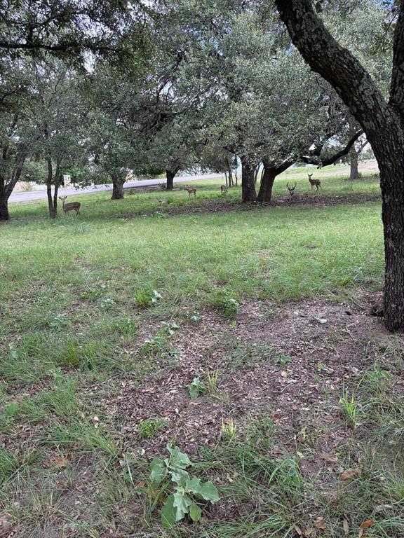 3504 Trail Head Drive, Kerrville, Texas image 6