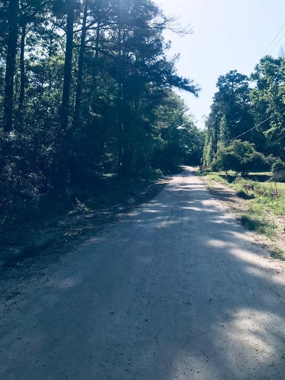 White Rock Acres Rd, Trinity, Texas image 4