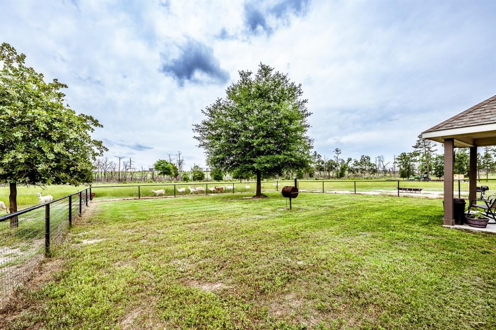 1916 Fm-247, Huntsville, Texas image 41