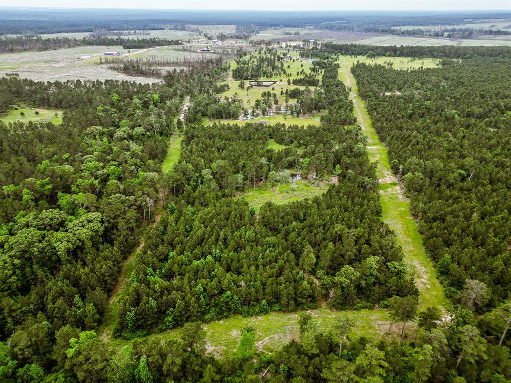 1916 Fm-247, Huntsville, Texas image 8
