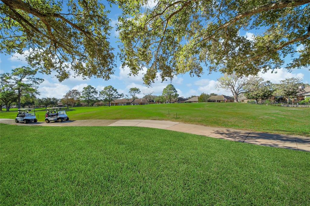 3722 E Peach Hollow Circle, Pearland, Texas image 31